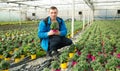 Glasshouse worker checking tomato seedlings Royalty Free Stock Photo