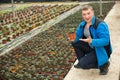 Glasshouse worker checking tomato seedlings Royalty Free Stock Photo