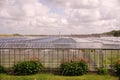 Glasshouses Royalty Free Stock Photo