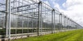 Greenhouses at Maasdijk in Westland Royalty Free Stock Photo