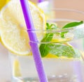 Glasss of mojito with lemon and drinking straw Royalty Free Stock Photo