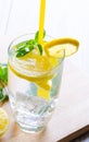 Glasss of mojito with lemon and drinking straw Royalty Free Stock Photo