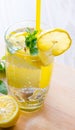 Glasss of mojito with lemon and drinking straw Royalty Free Stock Photo