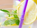 Glasss of mojito with lemon and drinking straw Royalty Free Stock Photo