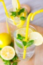 The glasss of mojito with lemon and drinking straw Royalty Free Stock Photo