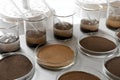 Glassware with soil samples and extracts. Laboratory research Royalty Free Stock Photo