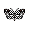 glasswing butterfly spring color icon vector illustration