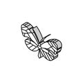 glasswing butterfly spring isometric icon vector illustration