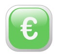 Glassy Green Square Euro Icon