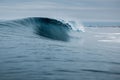 Glassy wave. Perfect swell for surfing in Hawaii