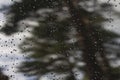 Glassy wet dark background, rain forest, glass wet surface, rain drops, autumnal rainy landscape Royalty Free Stock Photo