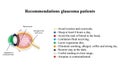 Glaucoma. Recommendations glaucoma patients. The structure of the eye. Infographics. Vector illustration on isolated