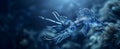 Glaucus Atlanticus swimming freedom in the ocean, beautiful isol