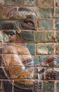 Glazed Brick Frieze of Persian Achaemenid Warrior from Susa Royalty Free Stock Photo