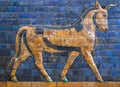Glazed brick panel with Aurochs from the Babylonian Ischtar Tor
