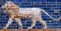 Glazed brick panel with Lion - details of the Babylonian