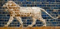 Glazed brick panel with Lion - details of the Ishtar Tor