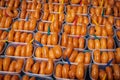 Glazed donuts, sweet pastry in boxes for sale