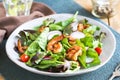 Glazed Ginger Prawn with fresh salad Royalty Free Stock Photo