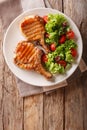 Glazed grilled steak with fresh salad of vegetables and leaves c Royalty Free Stock Photo