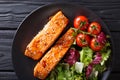 Glazed salmon fillet and fresh vegetable salad close-up on the t Royalty Free Stock Photo