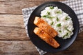 Glazed salmon fillet with rice garnish close-up. horizontal top Royalty Free Stock Photo