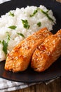 Glazed salmon fillet with rice garnish close-up. vertical