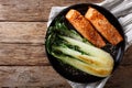 Glazed salmon fillet with sesame seeds and roasted cabbage bok c Royalty Free Stock Photo