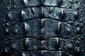 Gleaming Steel Meets Crocodile Texture - Abstract Elegance.. Concept Abstract Art, Metal Texture,