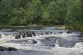 Glen Affric National Nature Reserve, Scotland: The River Affric