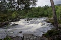 Glen Affric National Nature Reserve, Scotland: The River Affric