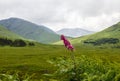 Glen Coe, Highlands,Scotland, United Kingdom Royalty Free Stock Photo