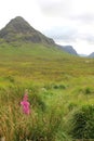 Glen Coe Scotland Royalty Free Stock Photo