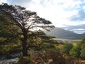 Glen Etive Royalty Free Stock Photo