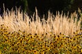 Glen Eyrie Castle Flower Gardens Royalty Free Stock Photo