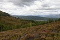 Glen Feshie