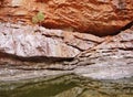 The Glen Helen, gorge in the Mcdonnell ranges Royalty Free Stock Photo