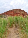 The Glen Helen gorge in the Mcdonnell ranges Royalty Free Stock Photo