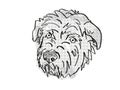 Glen of Imaal Terrier  Dog Breed Cartoon Retro Drawing Royalty Free Stock Photo
