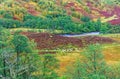 Glen Nevis in Autumn Royalty Free Stock Photo