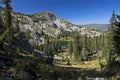 Glen in Wasatch Mountains Royalty Free Stock Photo