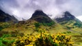 Glencoe landscape, Highlands Scotland landscape Tree Sisters