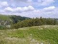 Glencoyne wood, Lake District