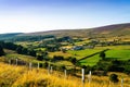 Glencullen Valley In The Wicklow Mountains Royalty Free Stock Photo