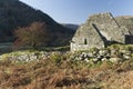 Hawthorn and Ruin in Glendalough Valley