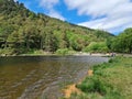 Glendalough lake and forest. Ireland