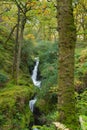 Glendalough Poulanass waterfall. Name means hole of the waterfall. Autumn time. Green leaves, long exposure, silky smooth water Royalty Free Stock Photo