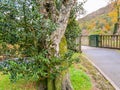 Glendalough Valley, Wicklow Mountains National Park, Ireland Royalty Free Stock Photo