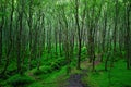 Glendalough, Wicklow Mountains, Ireland