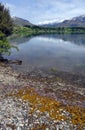 Glendhu Bay, Lake Wanaka New Zealand Royalty Free Stock Photo